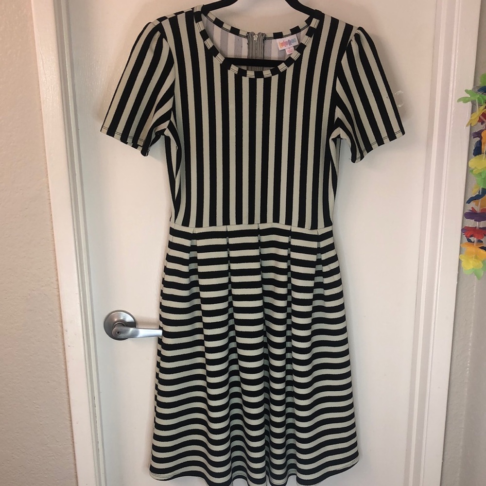 LuLaRoe Amelia Dress (S)